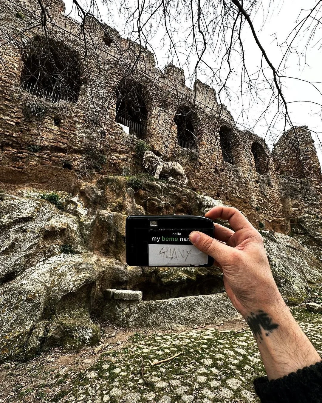 Person taking a photo of ancient ruins with a camera, showing stone steps and a statue of a lion, with leafless tree branches in the foreground.