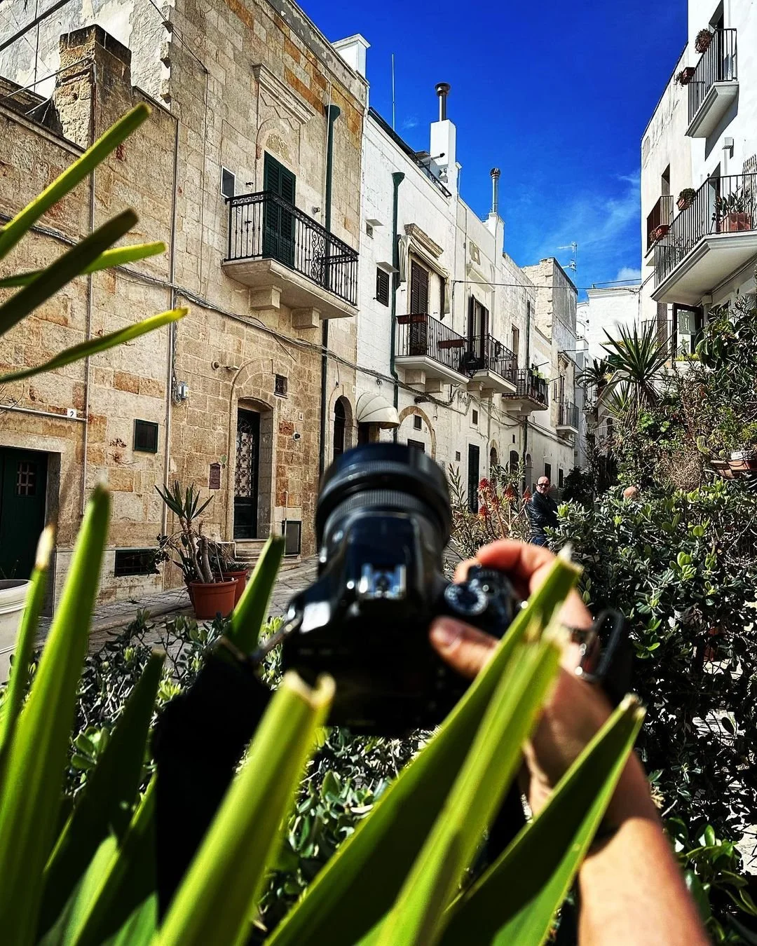 Person holding a camera among green plants, capturing a street scene with white and beige old buildings, balconies, and potted plants under a blue sky.