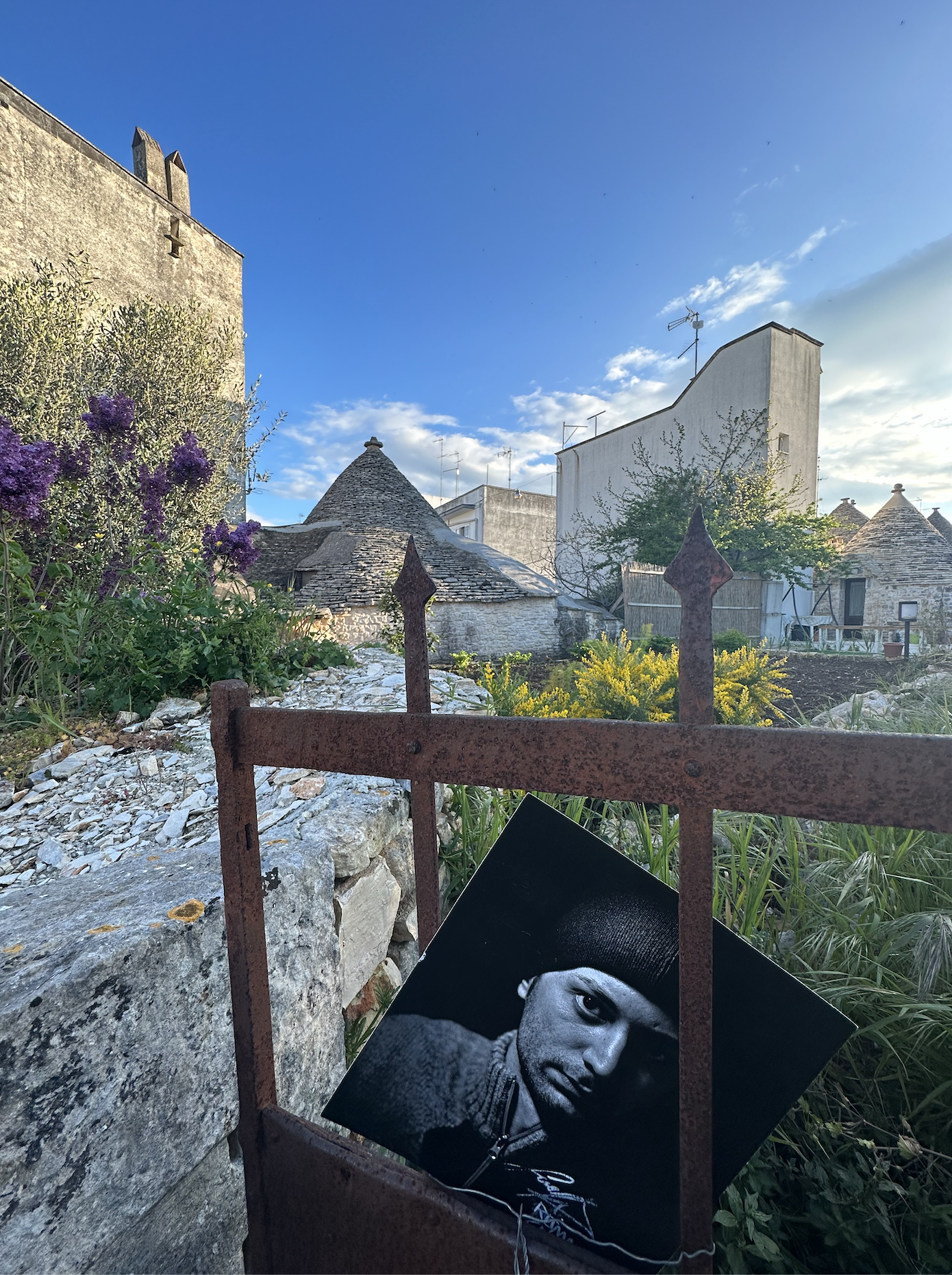An outdoor scene on a clear day with a blue sky, showing old stone buildings with conical roofs and a garden with purple and yellow flowers. A rusty metal fence partially obstructs the view of a black and white photograph of a man.