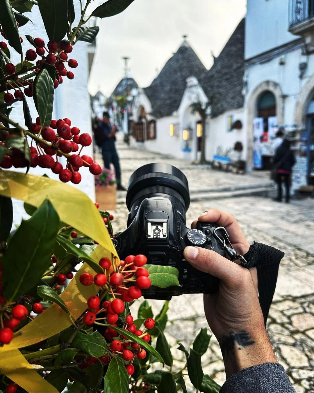 A person is holding a DSLR camera pointed towards a street scene with white buildings, cobblestone pavement, and people walking. In the foreground, there are red berries and green leaves.