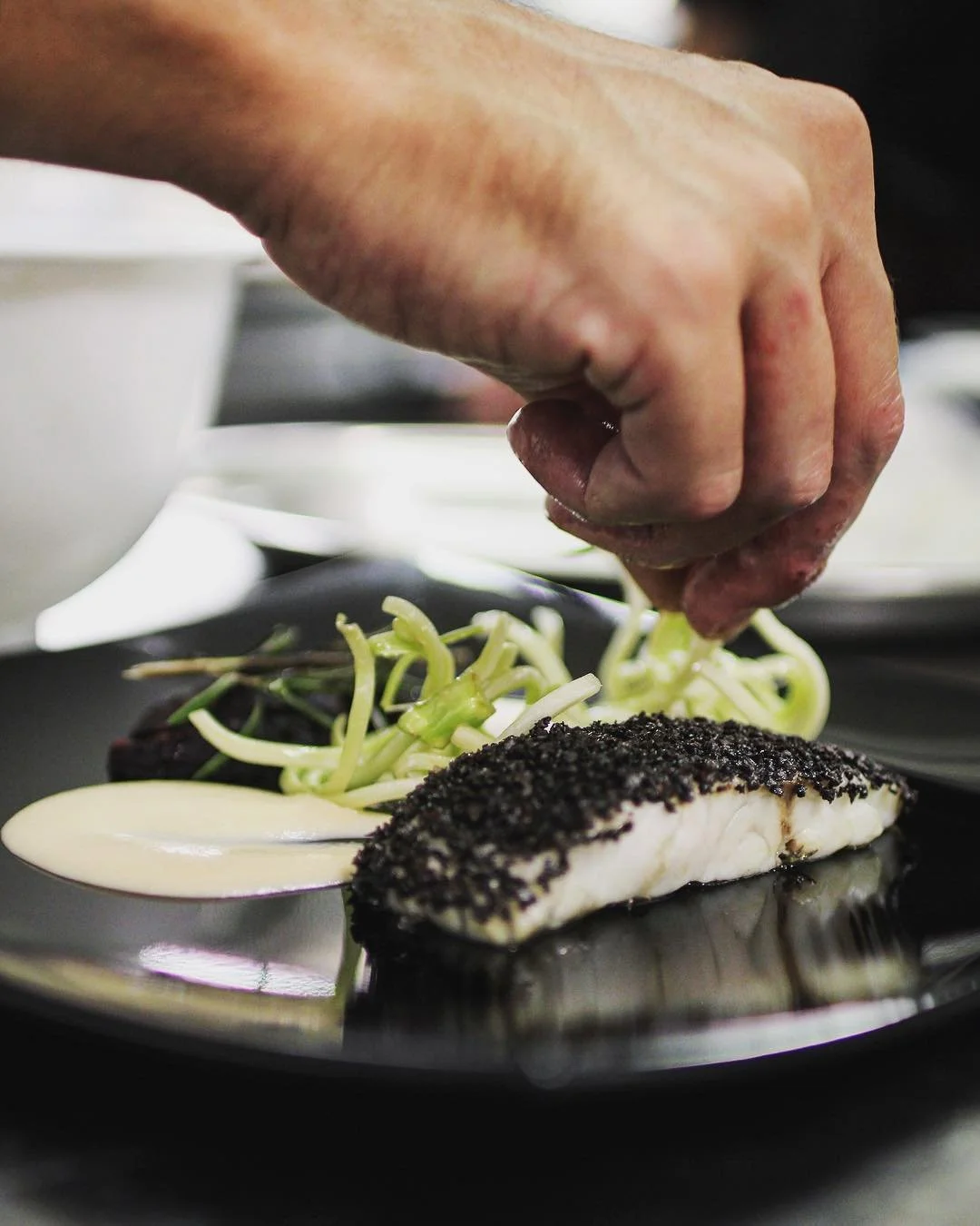 A chef's hand garnishing a plated dish featuring a piece of fish with black crumbs, accompanied by a dollop of creamy sauce and a small salad with bean sprouts and a leafy green.