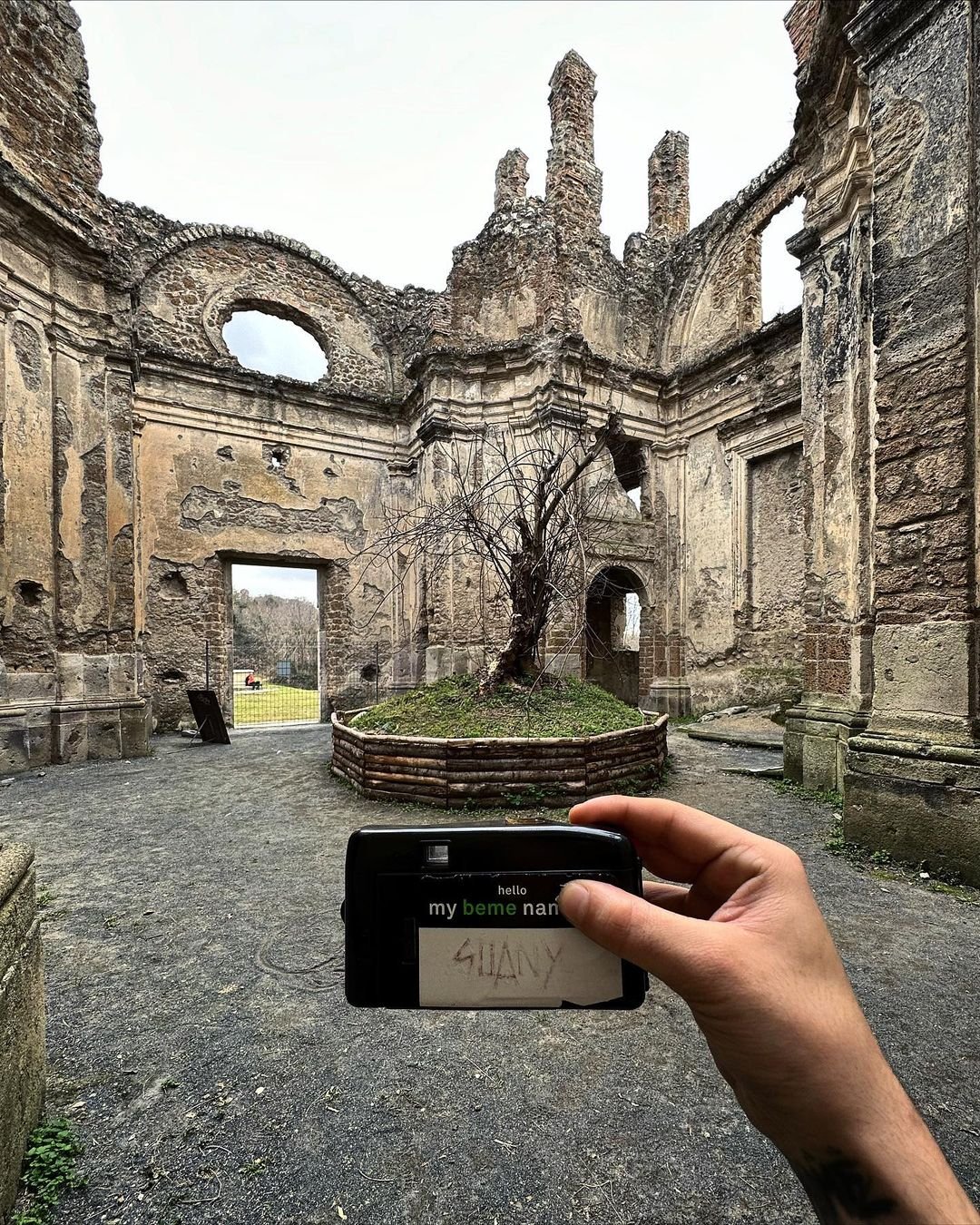 A person holding a camera in front of the ruins of an ancient building, with a small tree growing in the center of a planter. The ruins have weathered stone walls and arches, with some windows and structural remains visible.