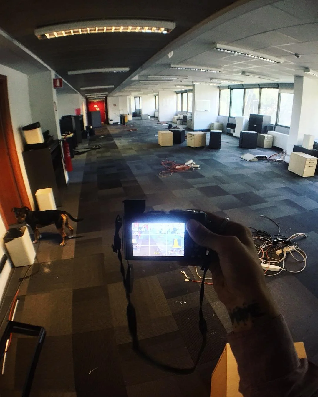 An empty office space with scattered furniture and cables, a person holding a camera in the foreground, and a dog near the wall on the left side.