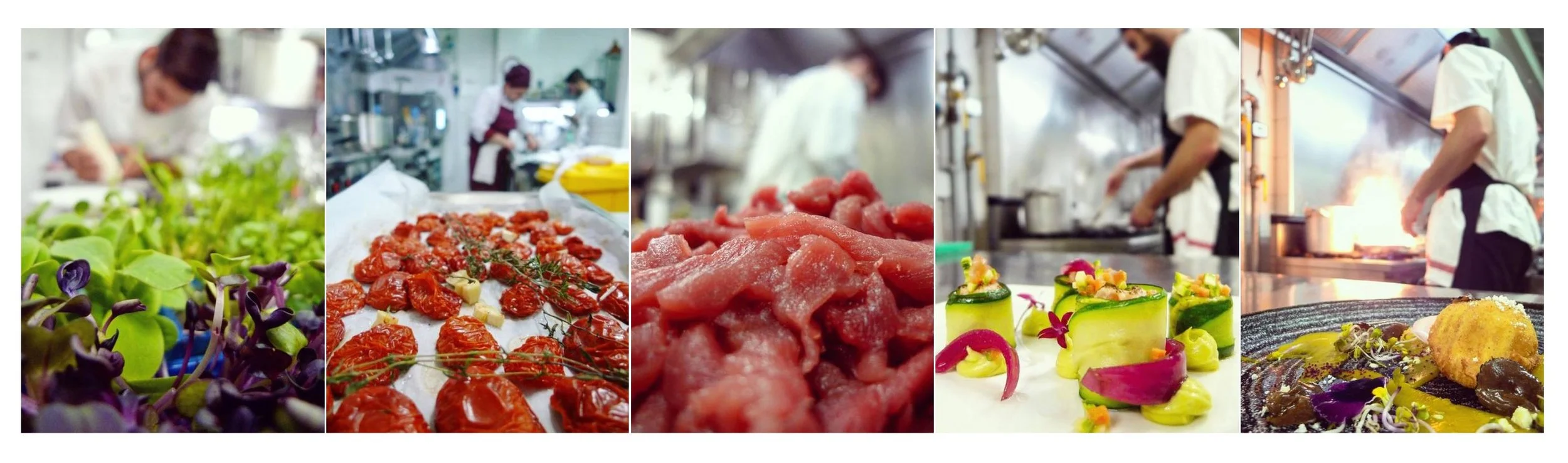 A collage of six images showing chefs preparing various dishes in a professional kitchen, including fresh vegetables, roasted tomatoes, raw meat, plated gourmet dishes, and chefs cooking behind the scenes.