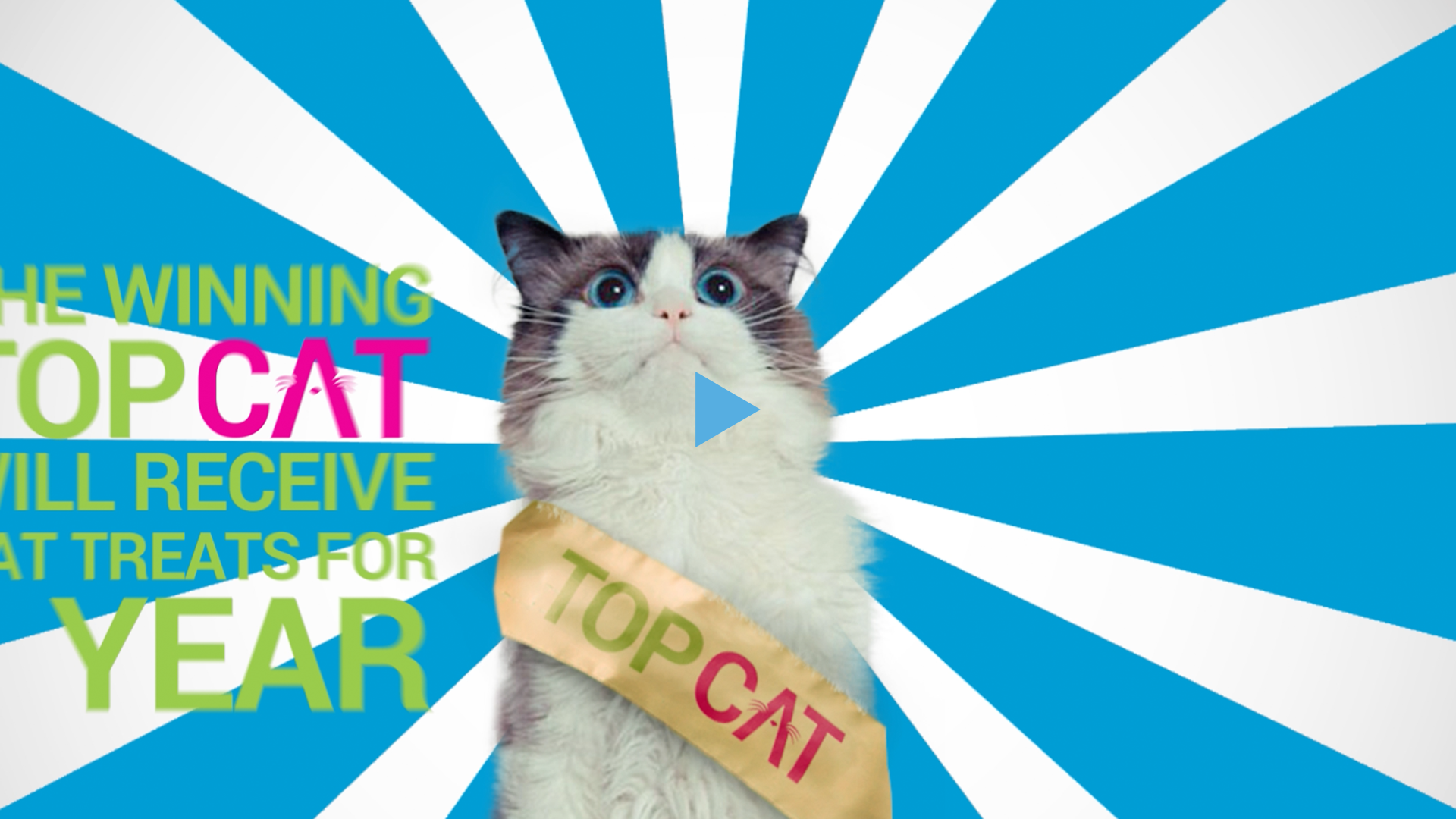 RSPCA