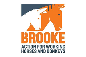 Brooke.png
