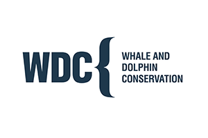 wdc-logo.png