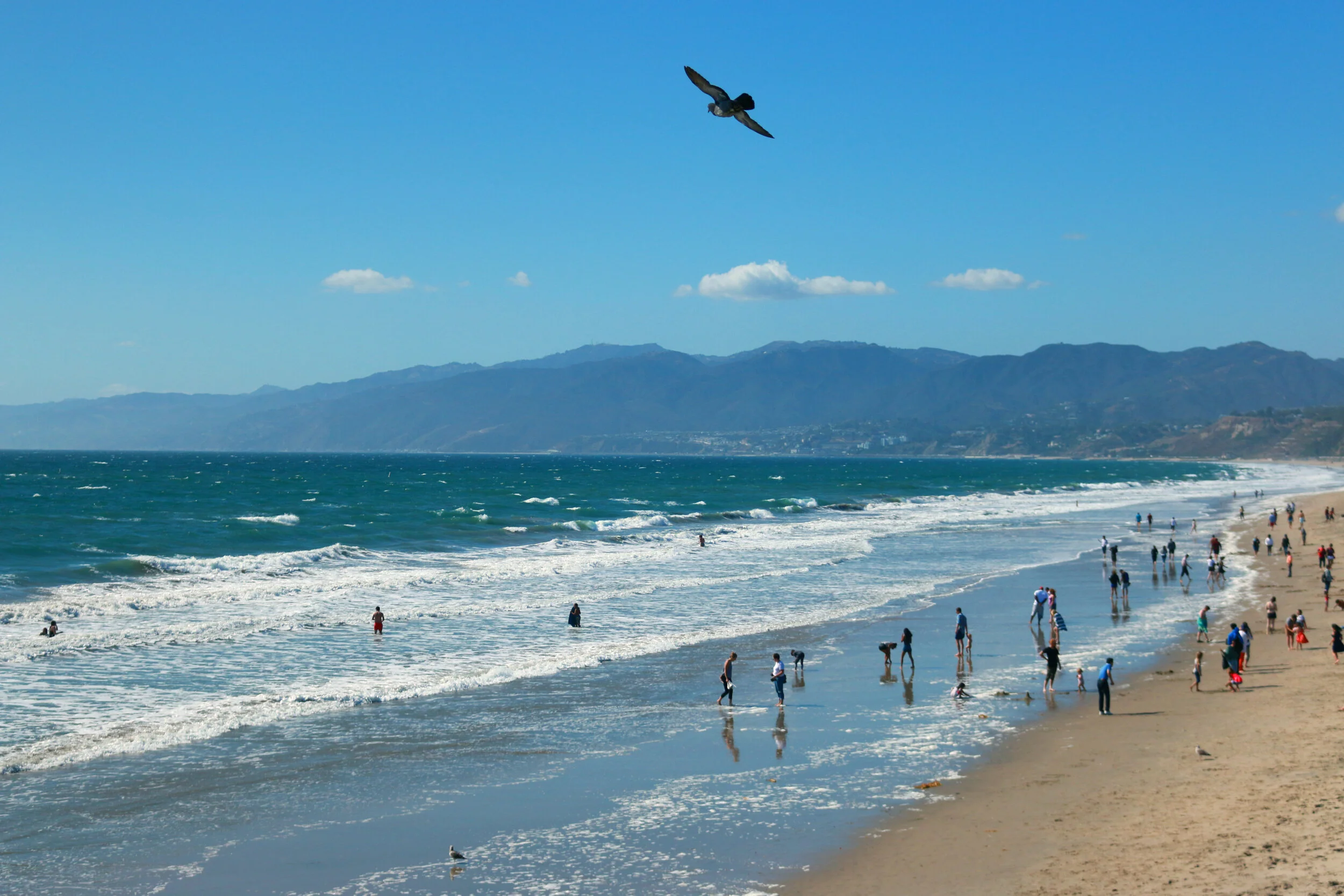 Santa Monica.jpg