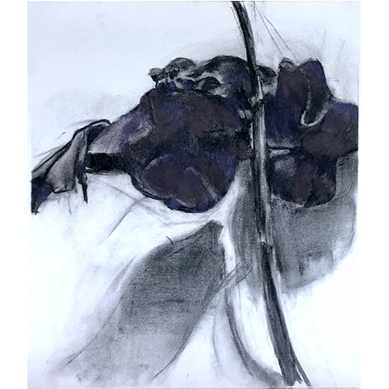 purple.leaves.jpg