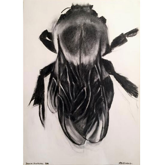 "American Bumblebee"