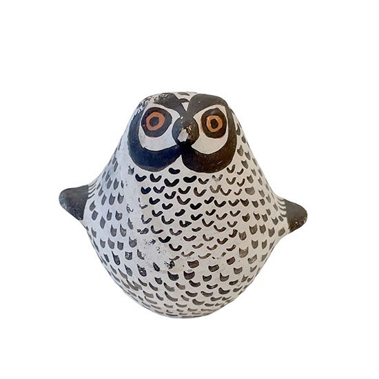acoma.owl.front.jpg