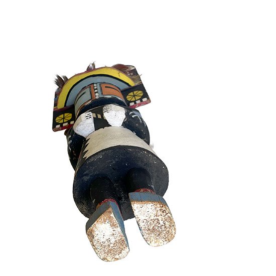 sio.hemis.bottom.jpg