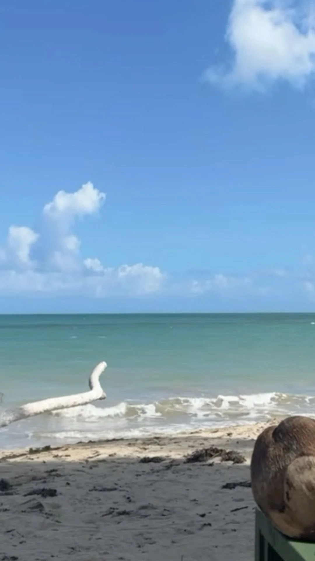 Where In The World Is Wendy Gonzalez