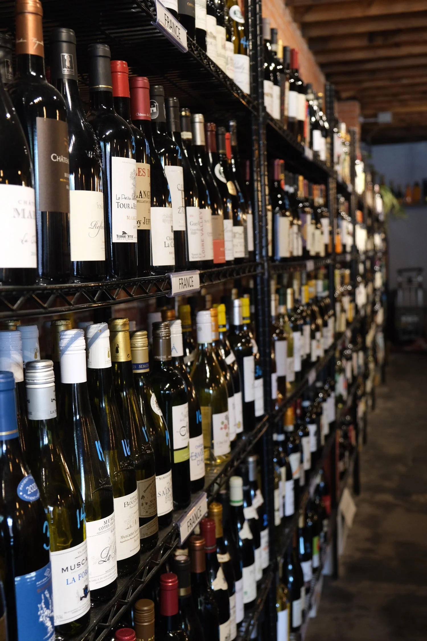 Restaurant Spotlight: Vine