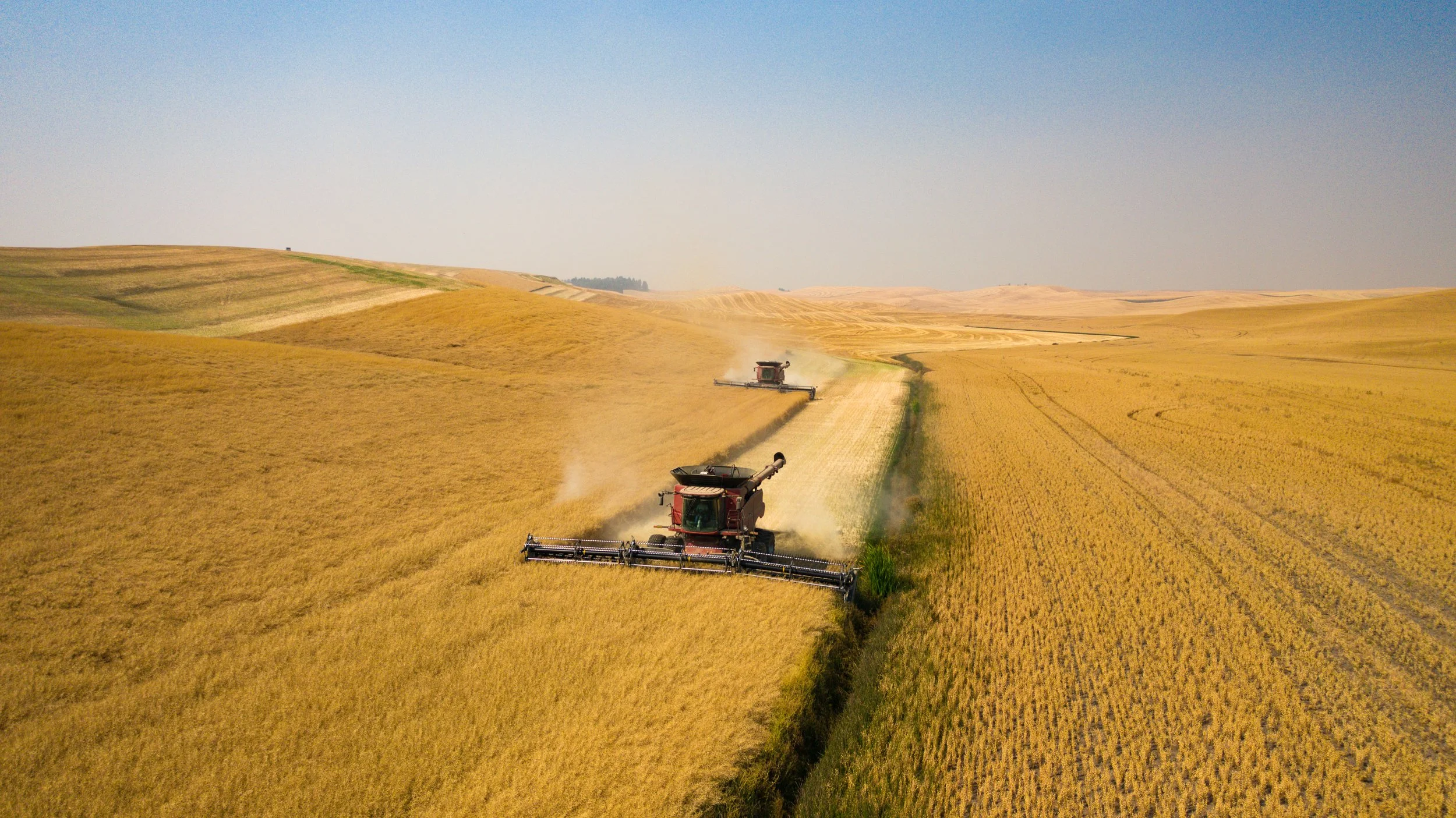 The Wheat Boom of the 1880s