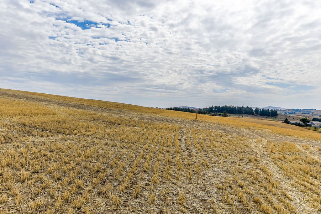 DSC_1370-HDR.jpg