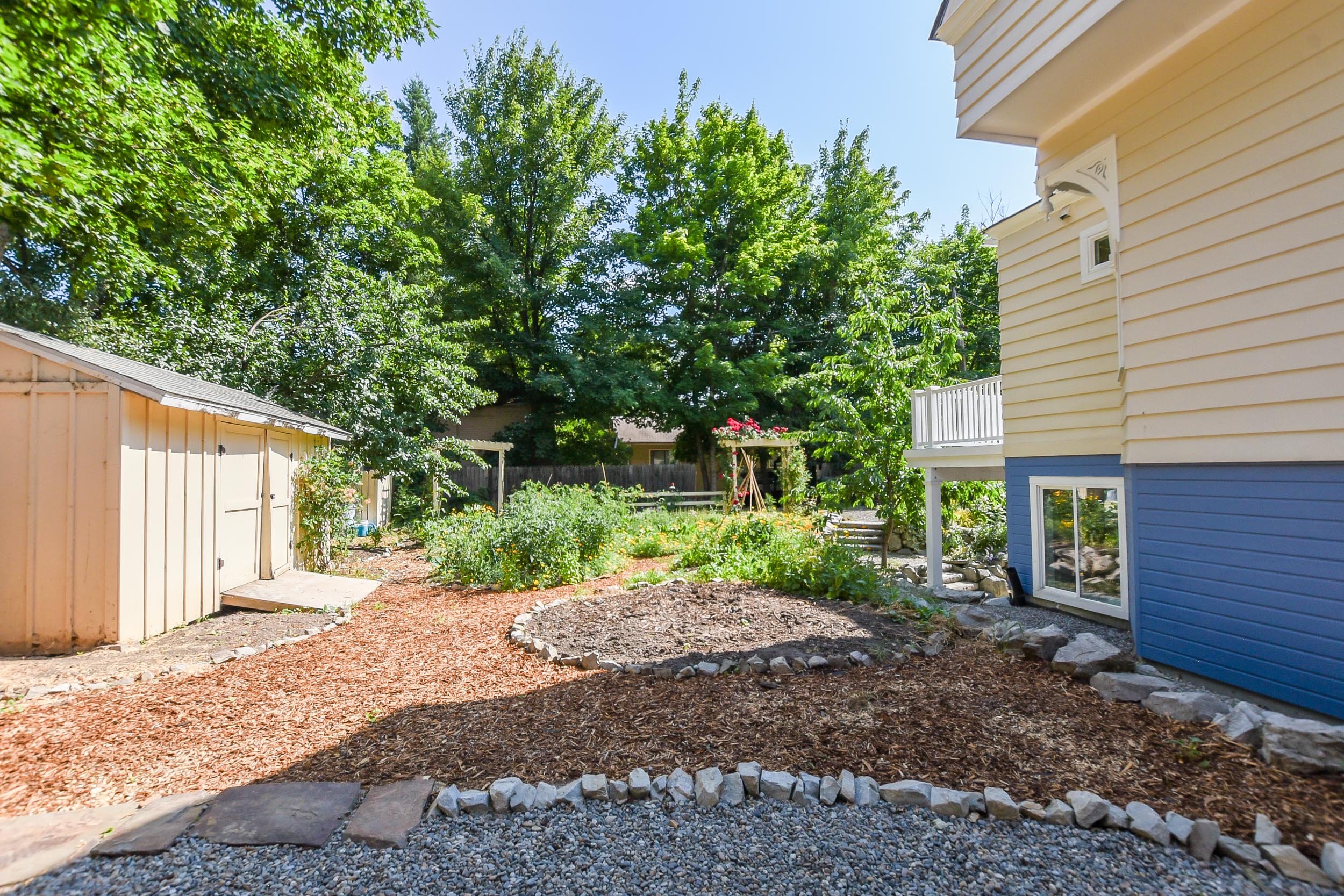 Backyard.jpg