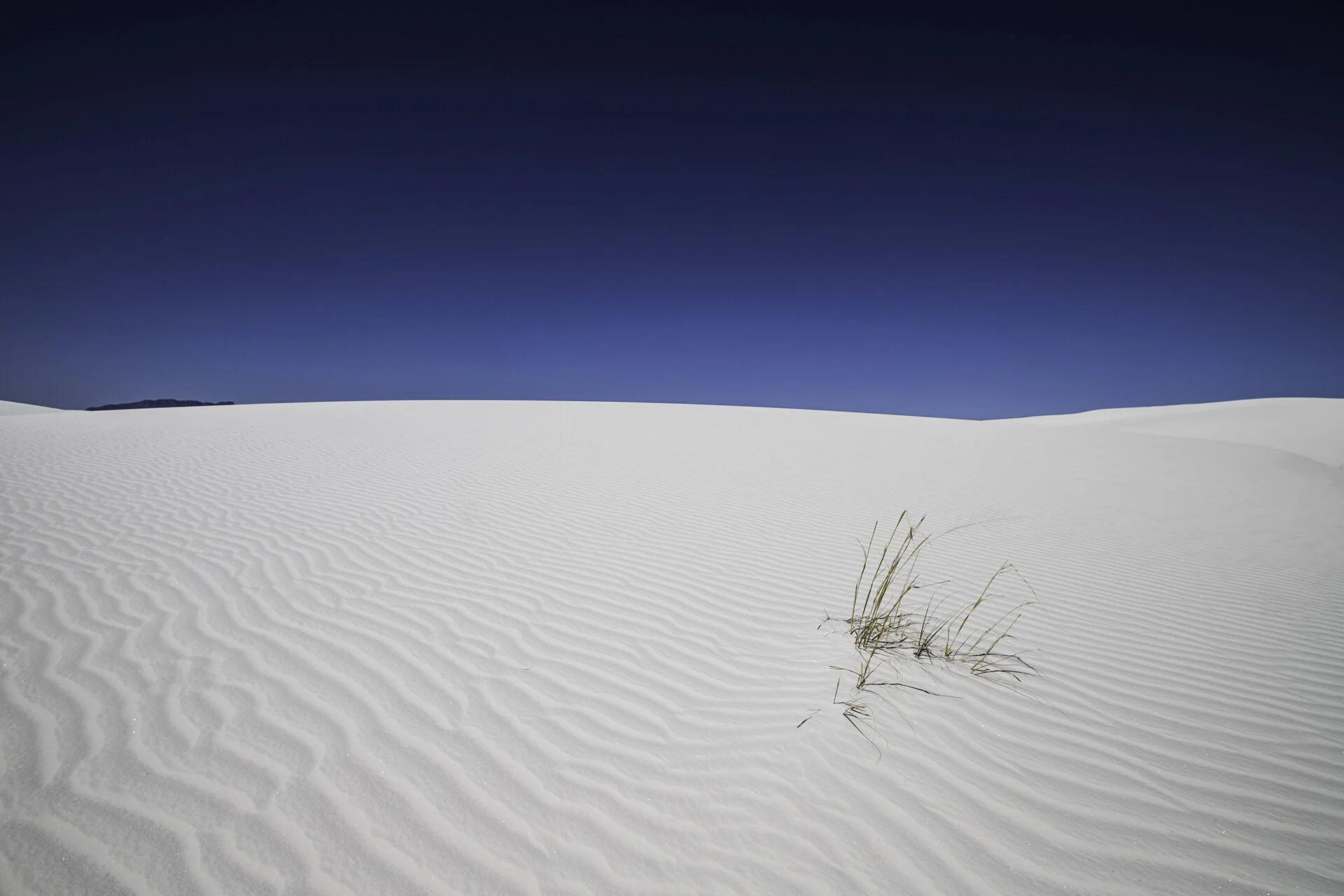 Lost at White Sands sm.jpg