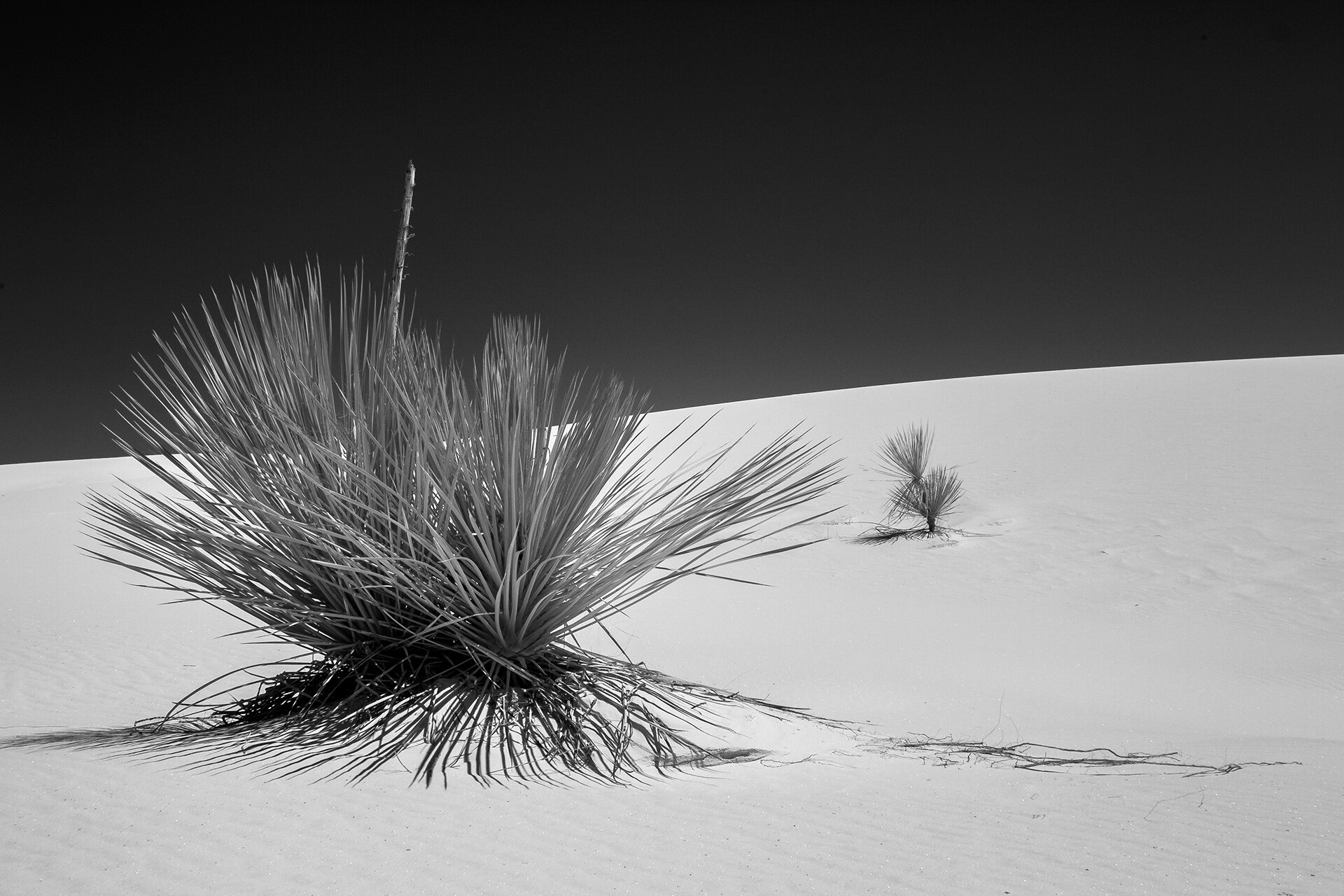 White Sands 2018 066.jpg