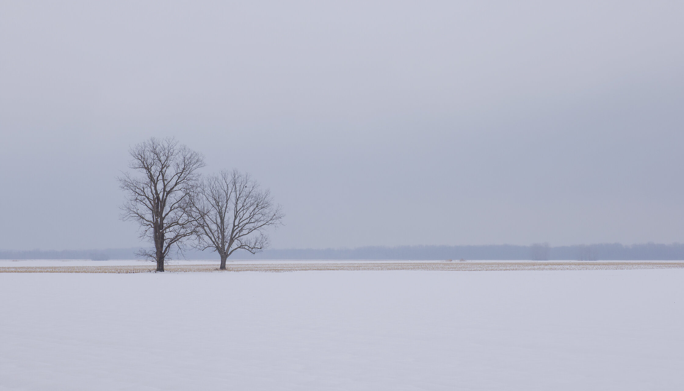 64 Hy 94 Snow 1.12.18 821 copy.jpg