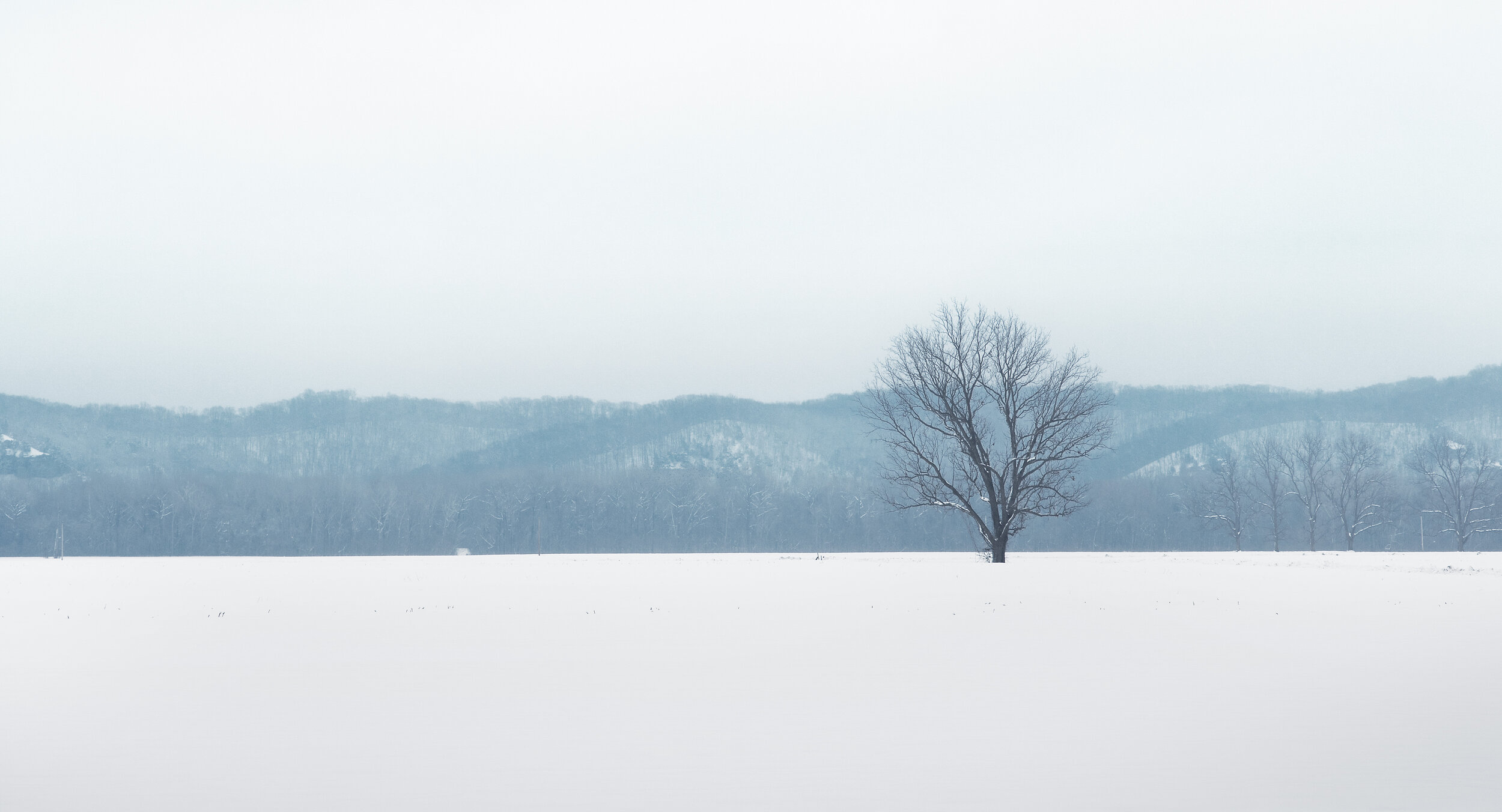 Snow 1.12.19 824 lg.jpg