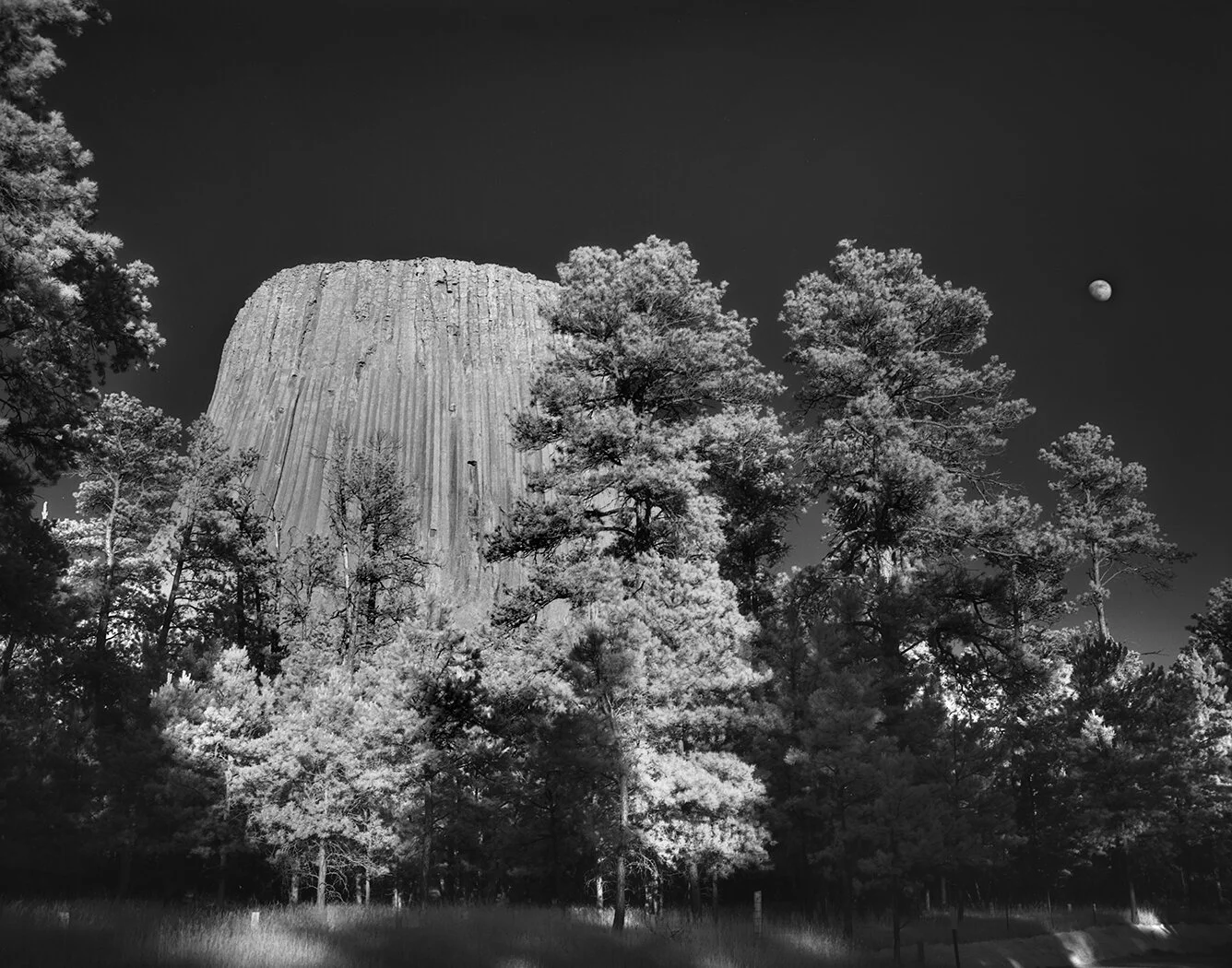 Devils Tower 1.jpg