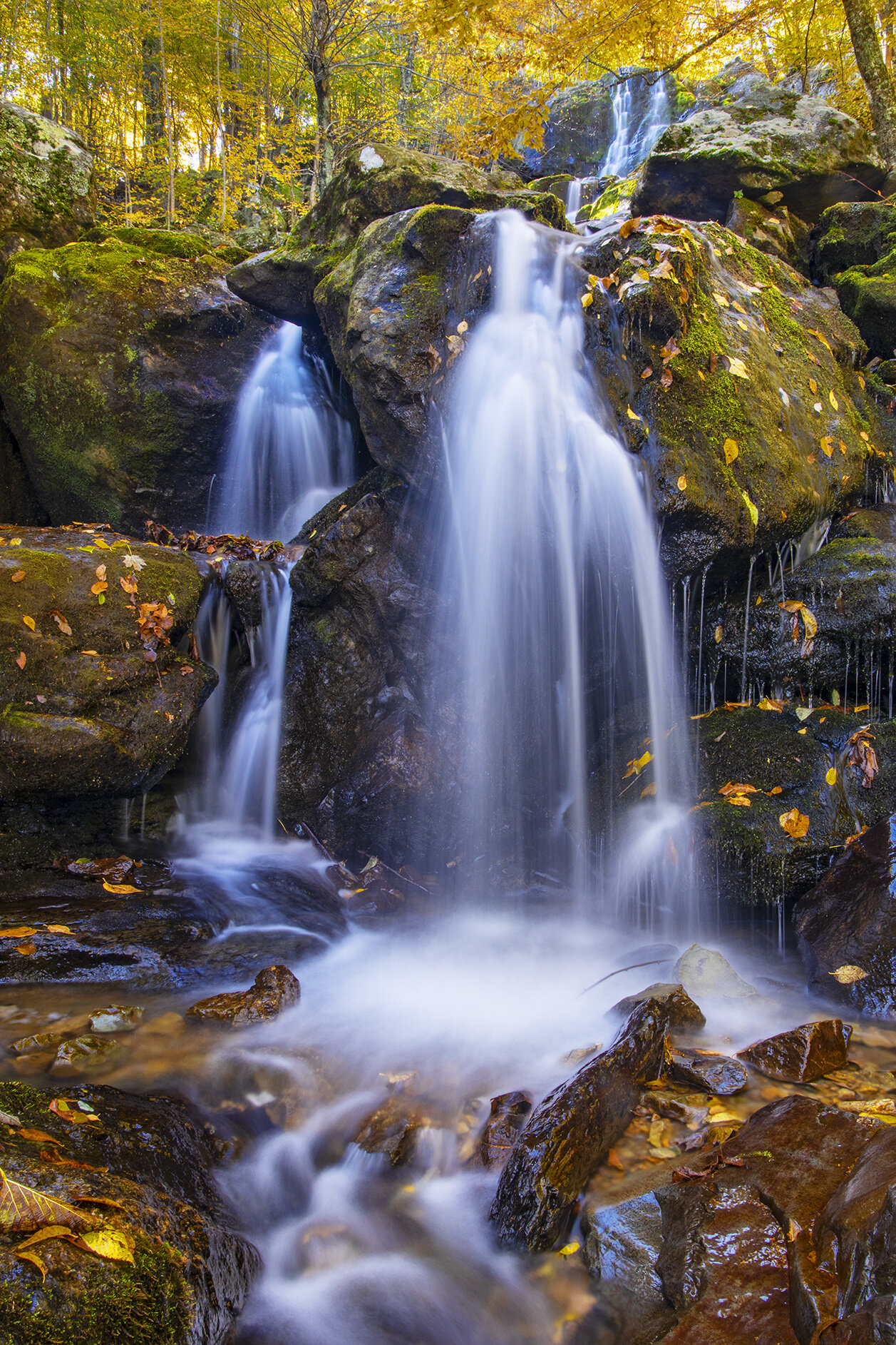 Dark Hollow Falls V3 10.19.jpg