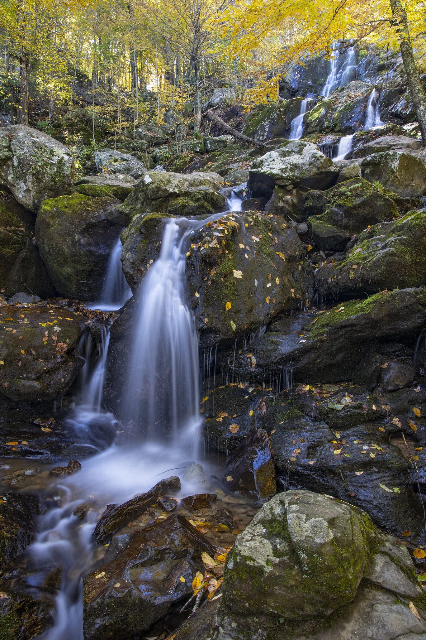 Dark Hollow Falls V2 10.19.jpg