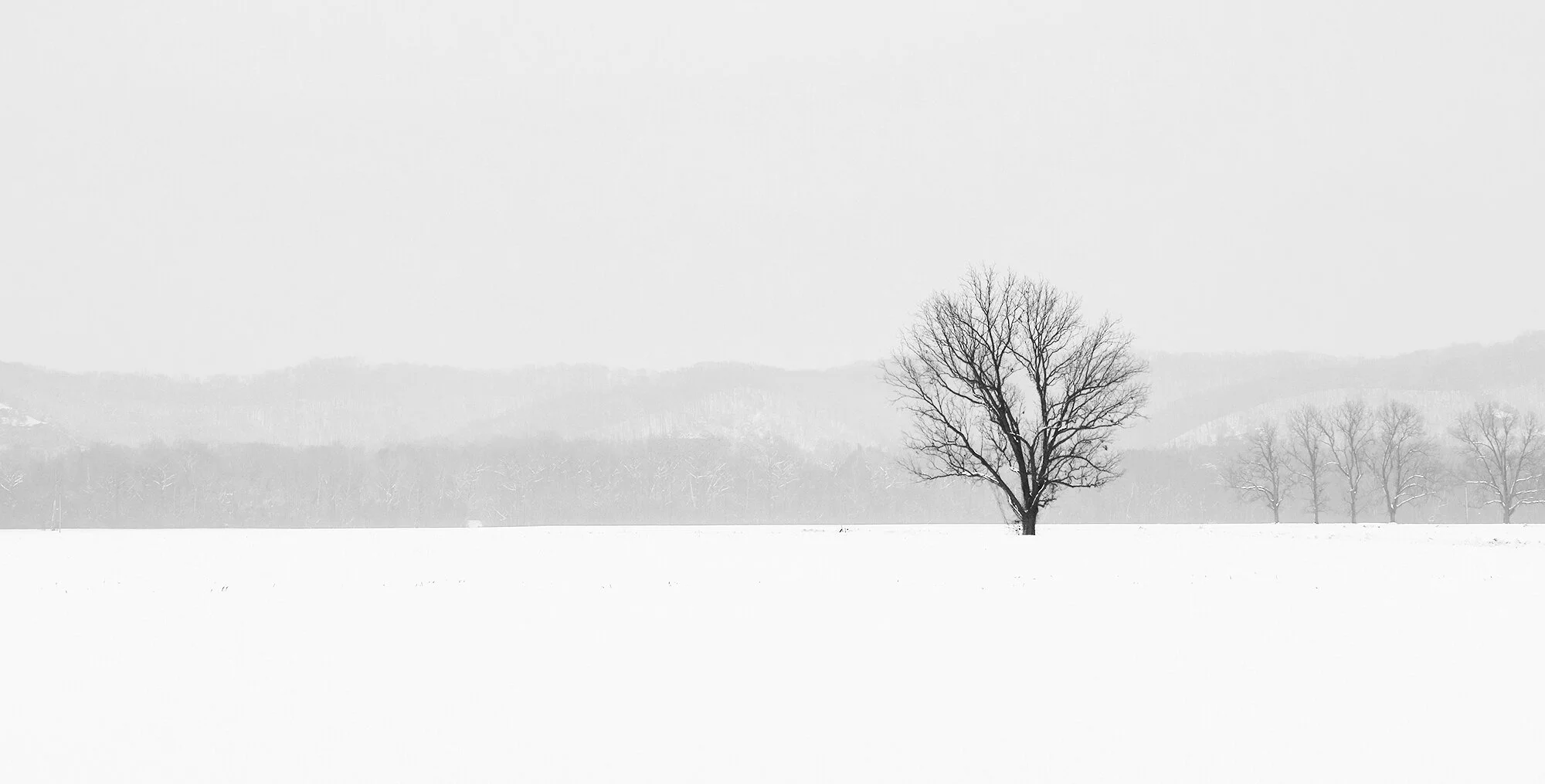 Snow 1.12.19 824 bw2.jpg