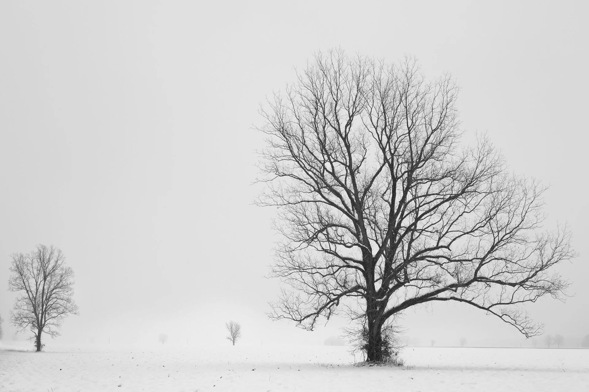 Hy 94 Snow 1.13.18 691.jpg