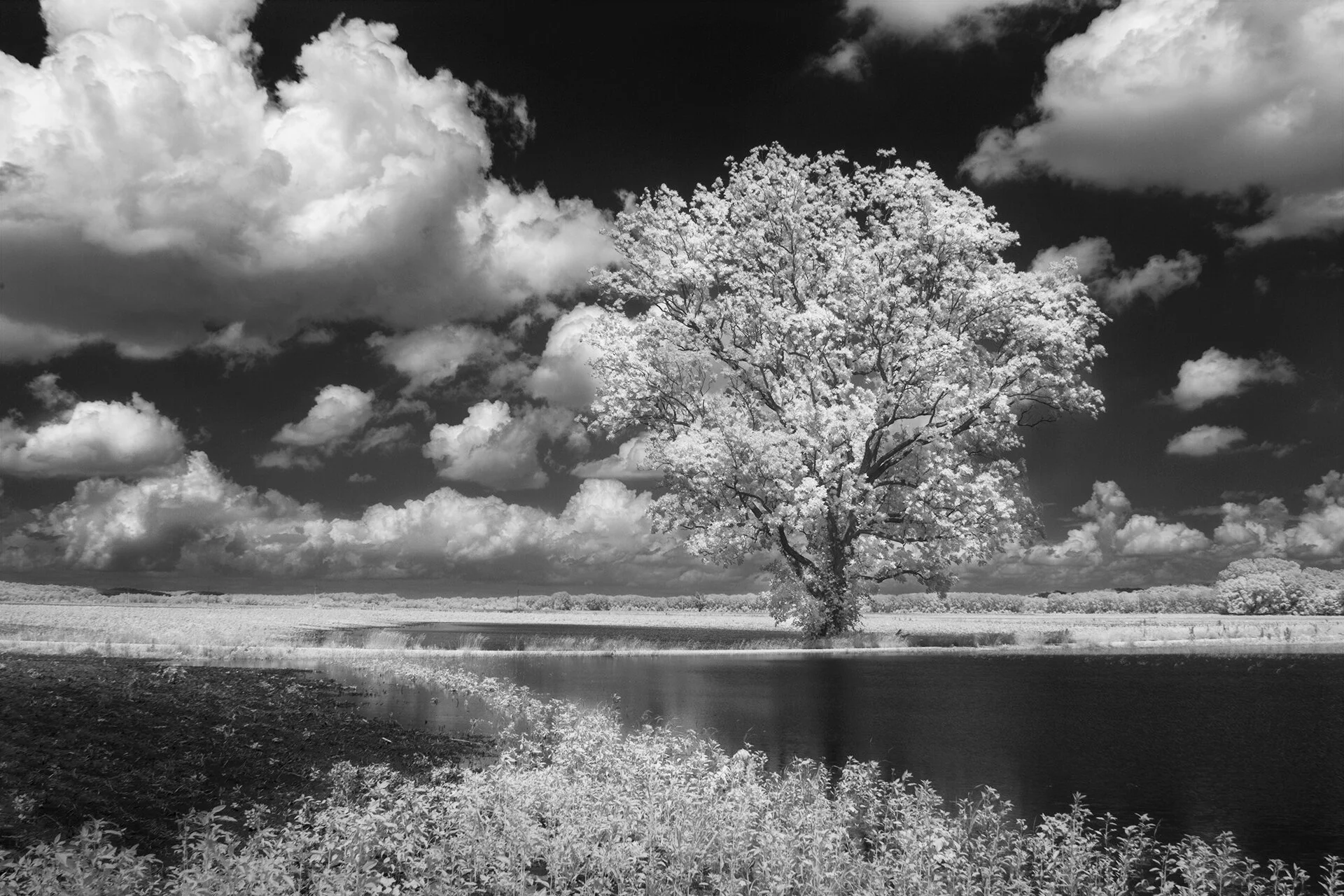 IR Flood 6.9.19 12.jpg