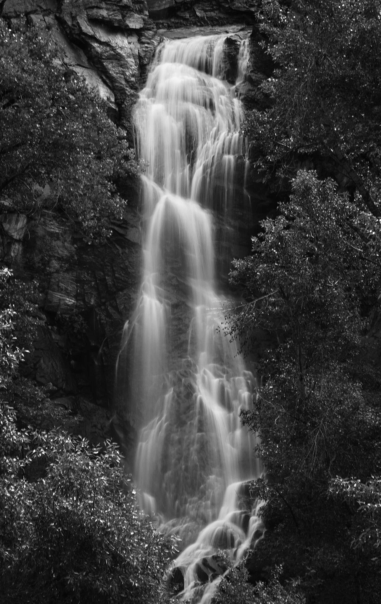Bridal Falls Spearfish 5.7.19 052 bw.jpg