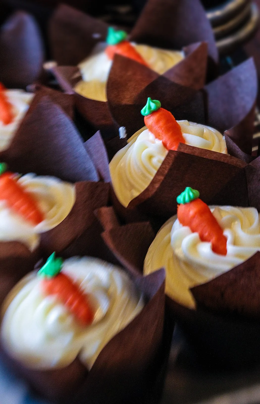 carretcupcakes copy.jpg