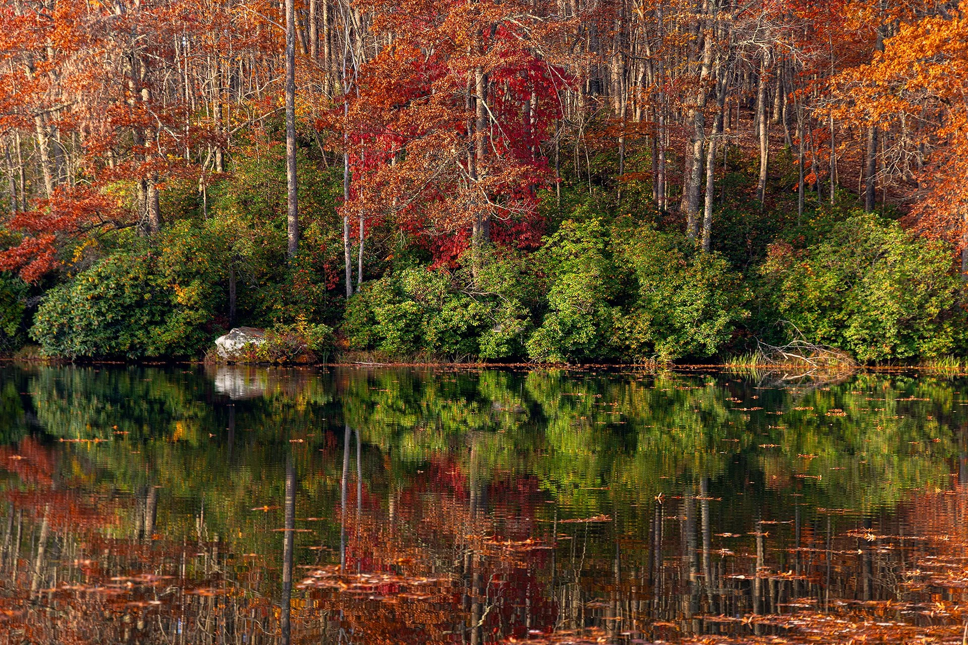 Babcock 291023 lake 291023-1463.jpg