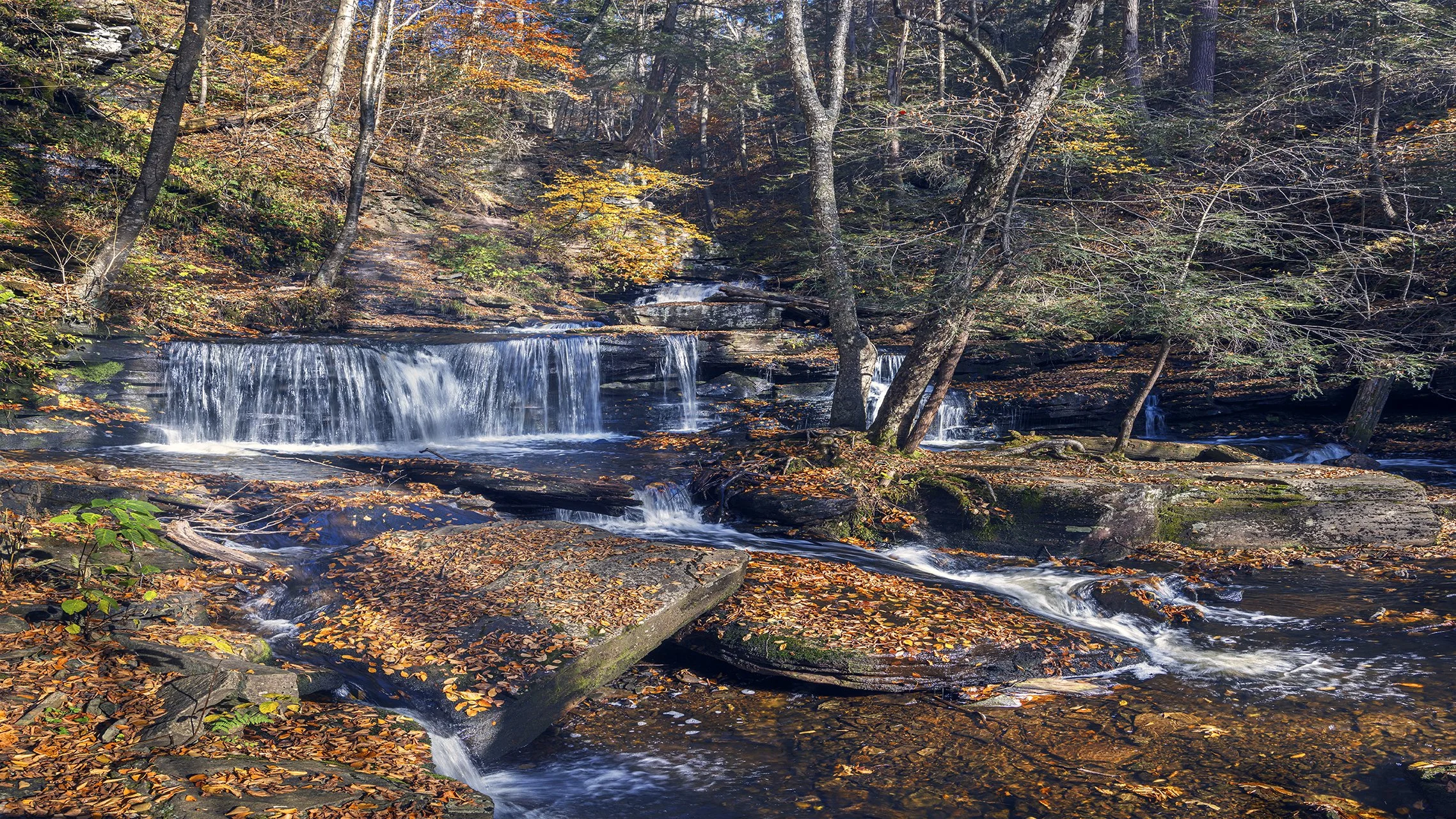 Ricketts Glen 1st fall 281023.jpg