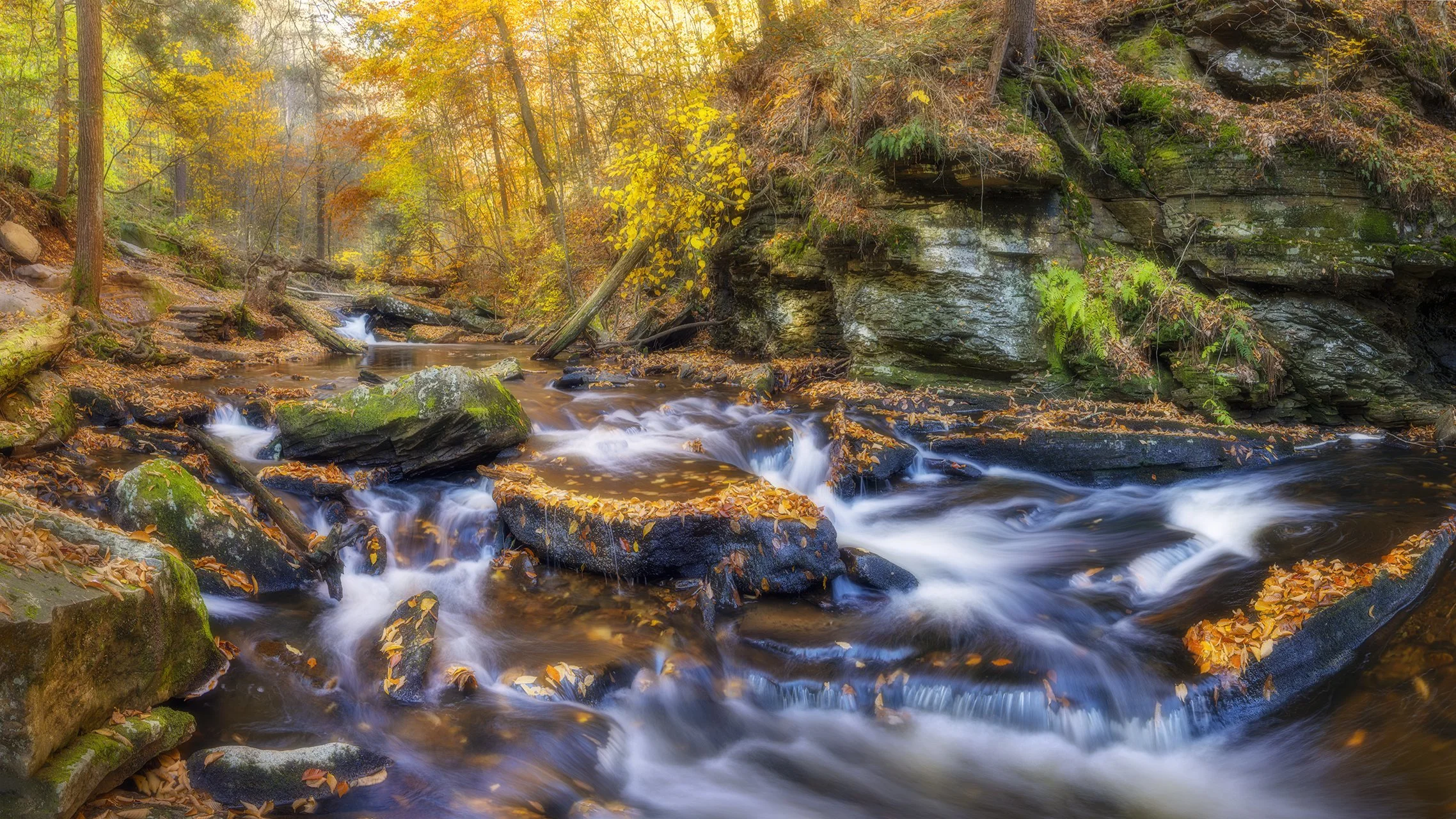 Ricketts Glen Rose Lake Creek 