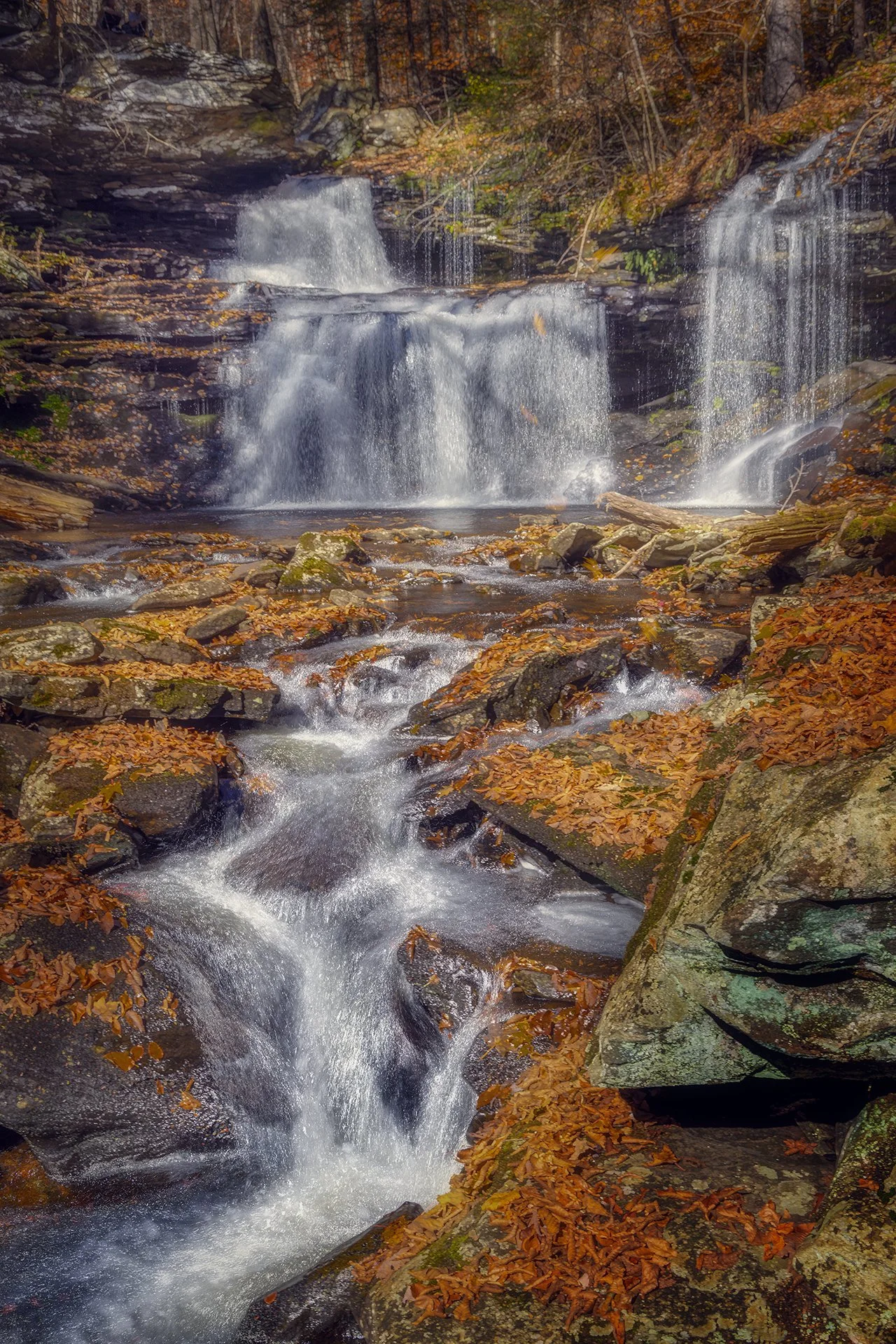 Ricketts Glen 2023