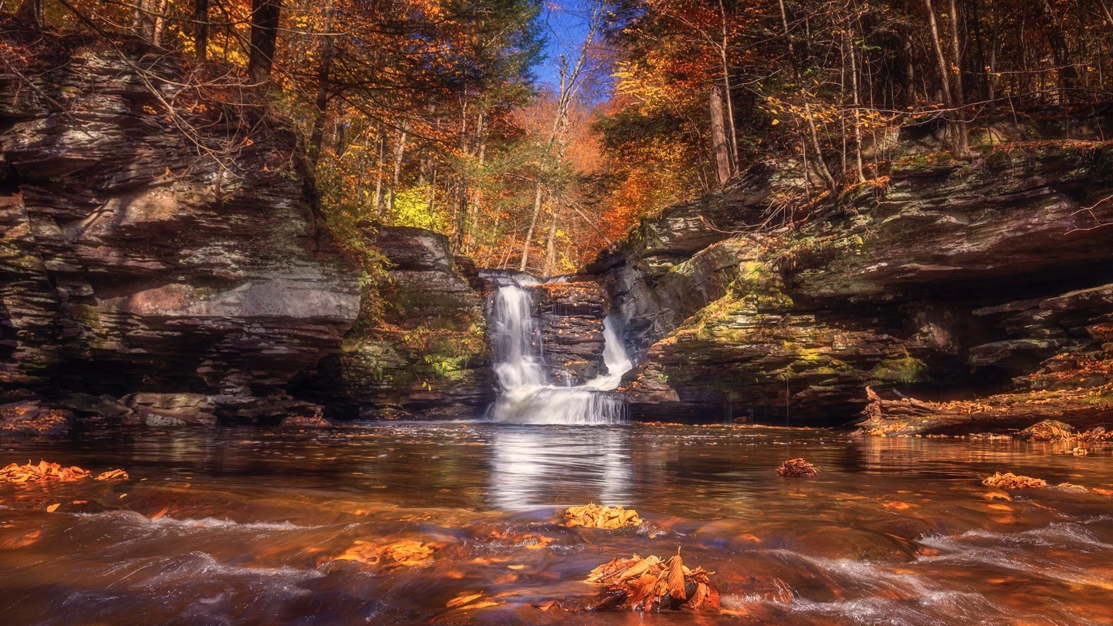 Ricketts Glen, Murray Reynolds Falls, 2023