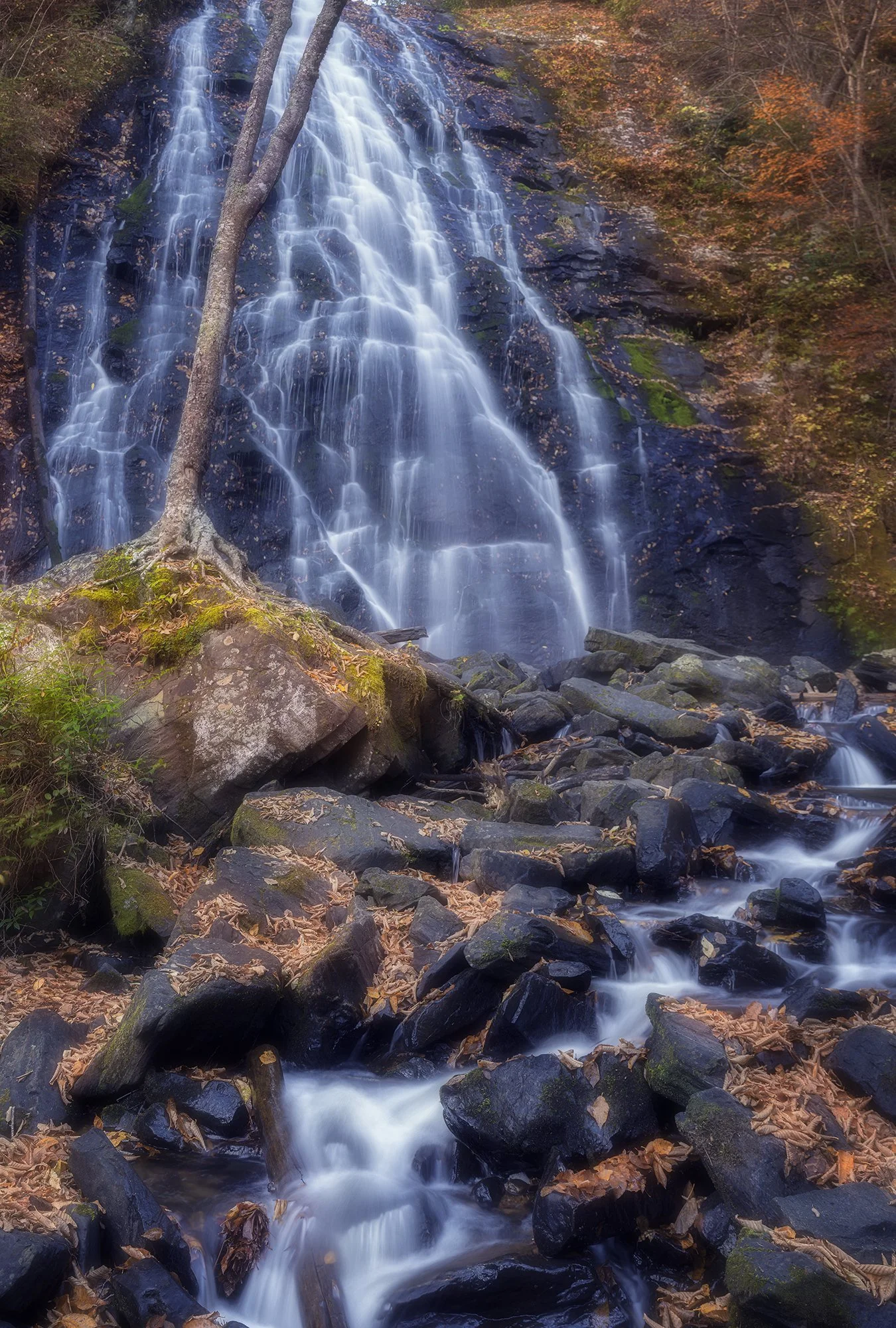 Crabtree Falls, 2023