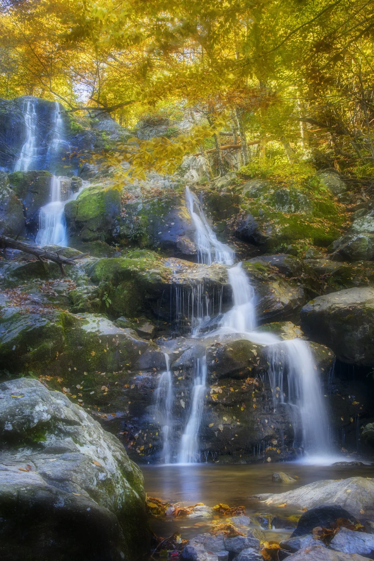 Dark Hollow Falls, VA, 2019