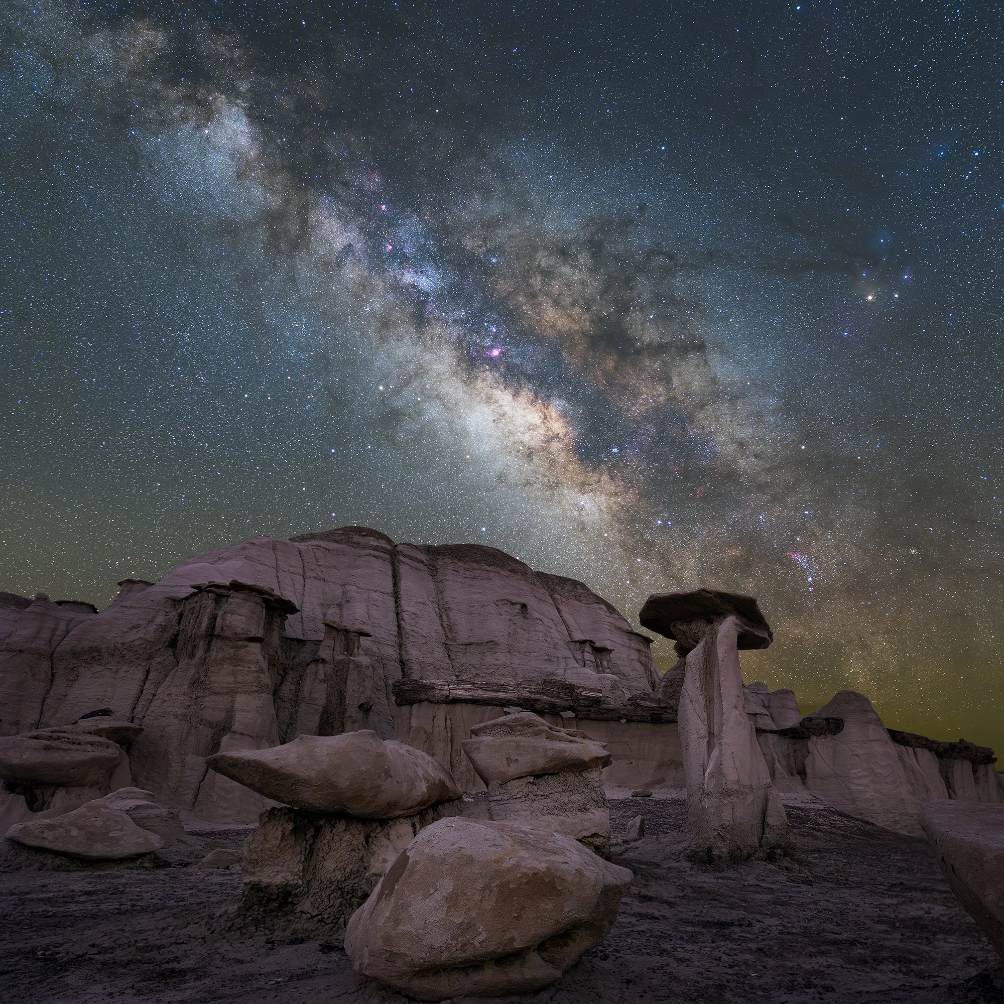 Petrified Wood Log, Bisti Badlands, NM, 2024