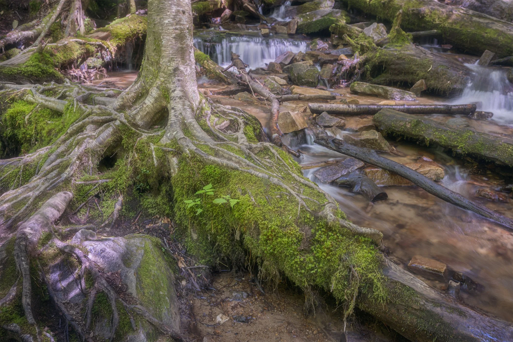 Mingo Falls 2 2024.jpg