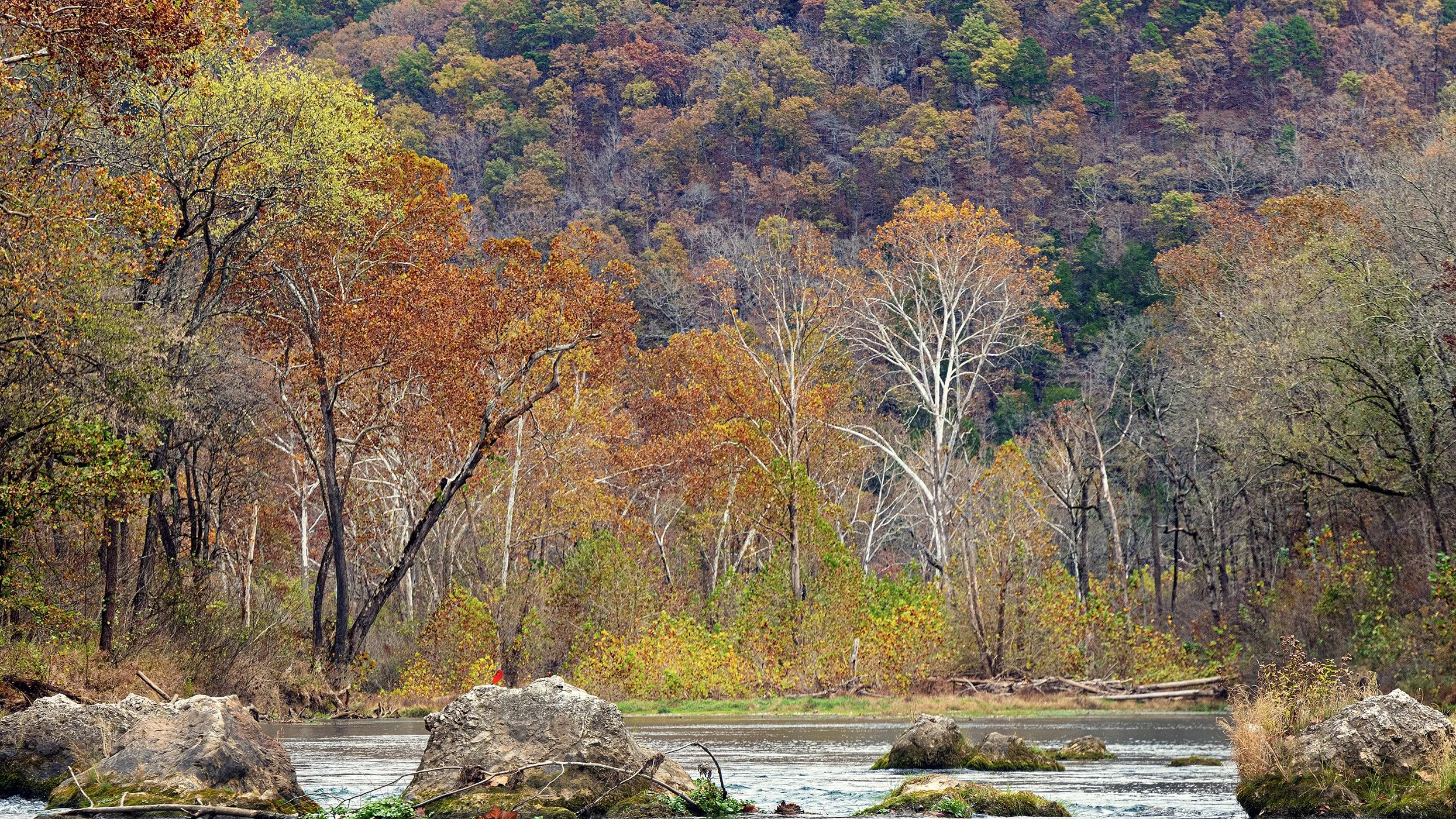 River trip Autumn 2024-2292 V2.jpg