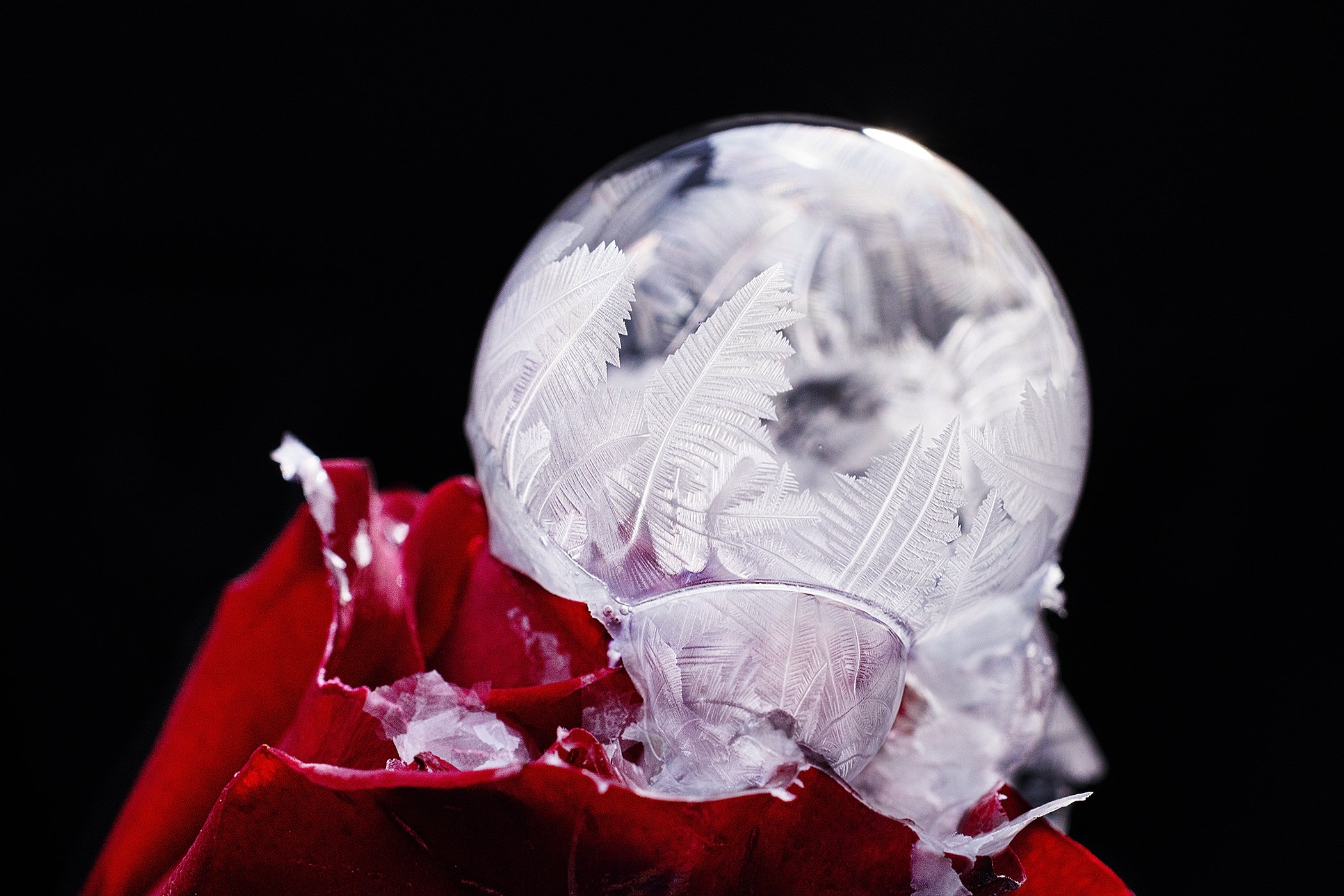 Ice Balls 150124-6271.jpg