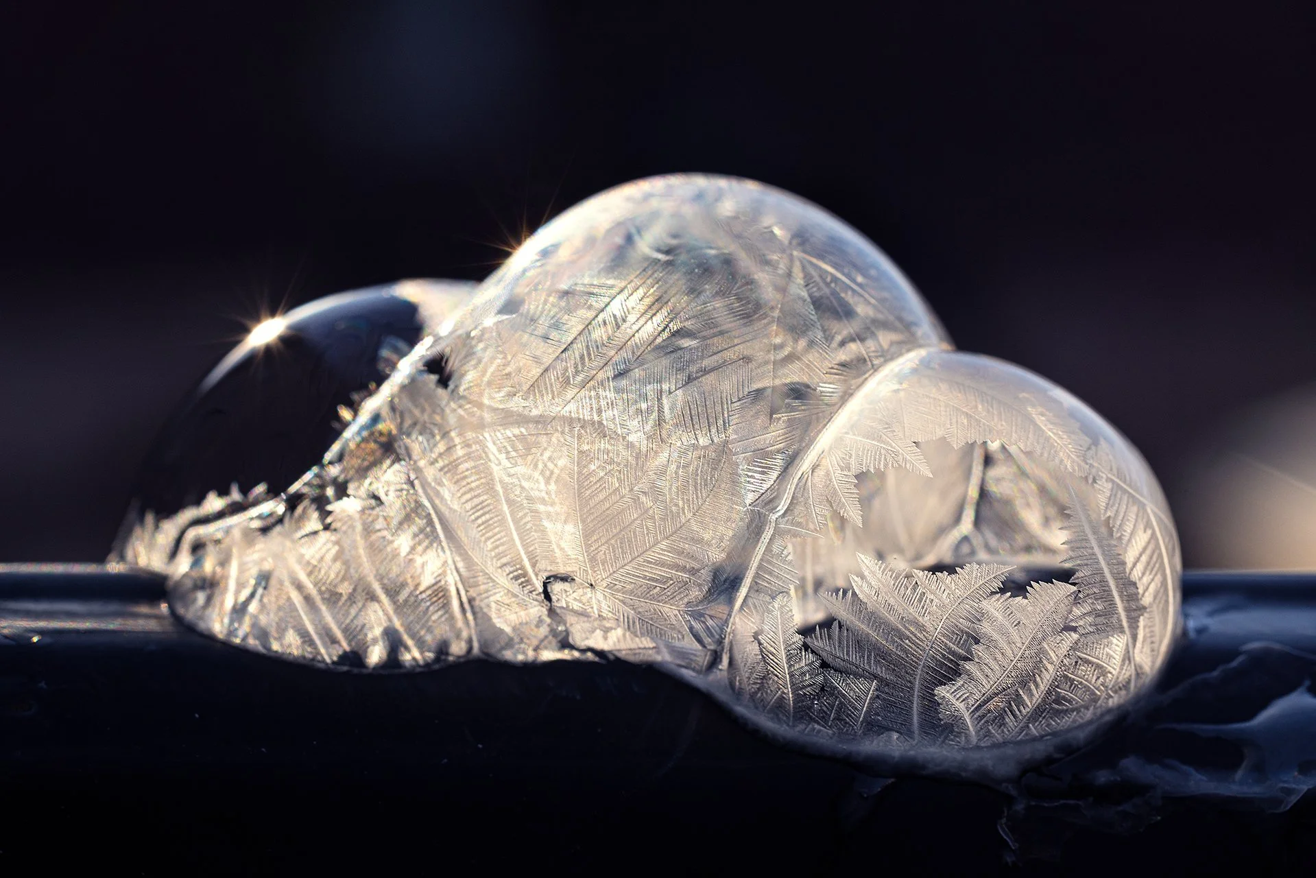 Ice Balls 200124-25.jpg