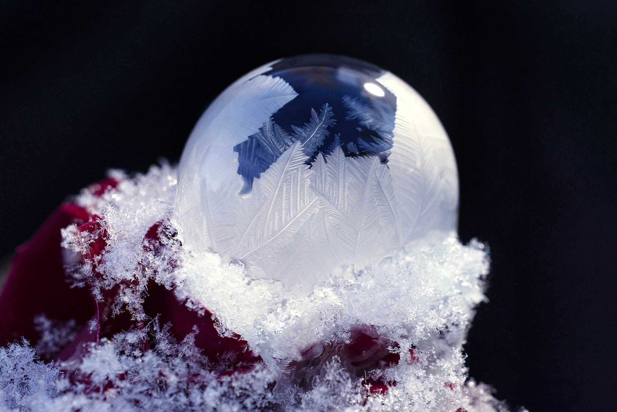 Ice Balls 160124-15.jpg