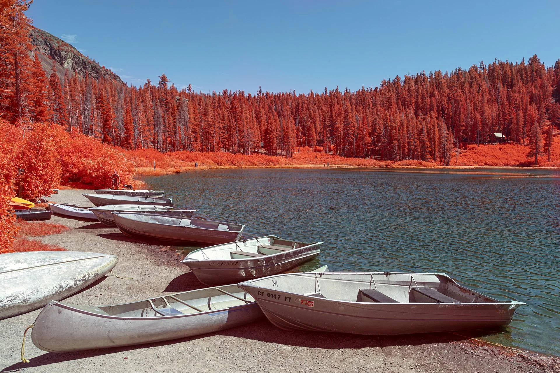 Twin Lakes 100824 ColourIR-9628.jpg
