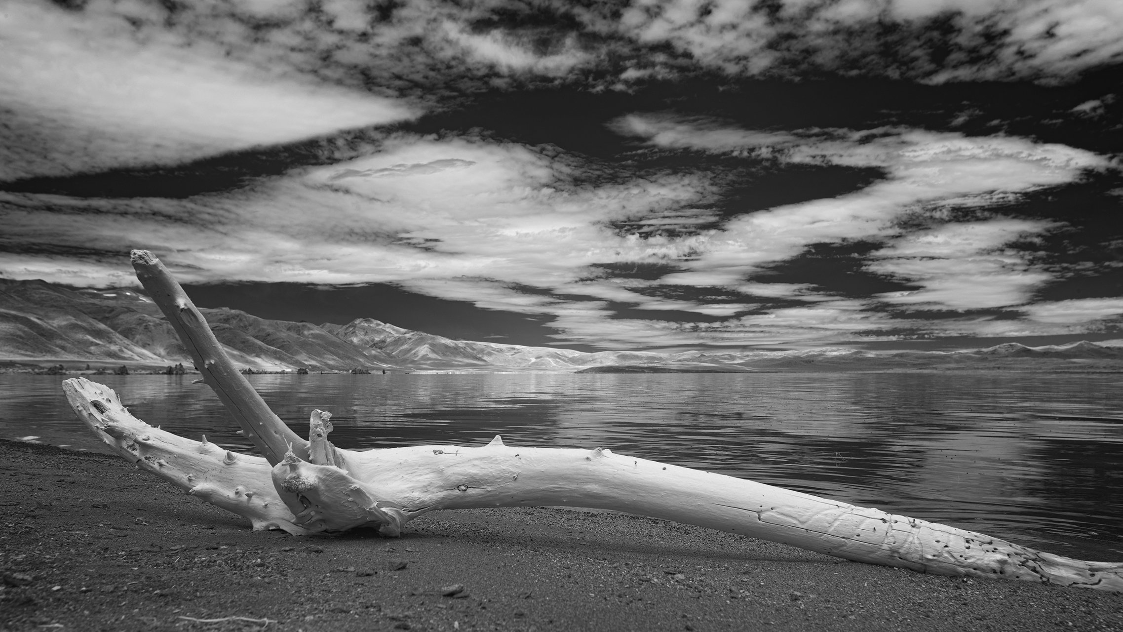 Mono 100824 IR-9582.jpg