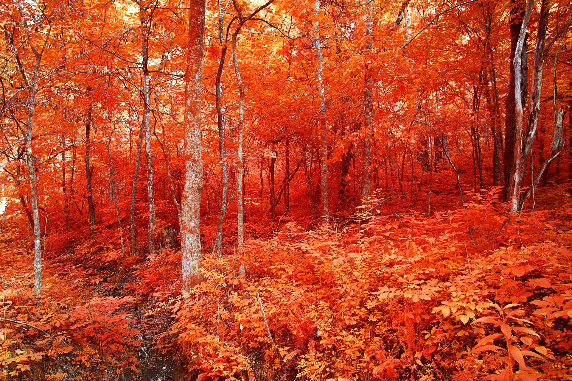 CurentRiver_110723_0490.jpg