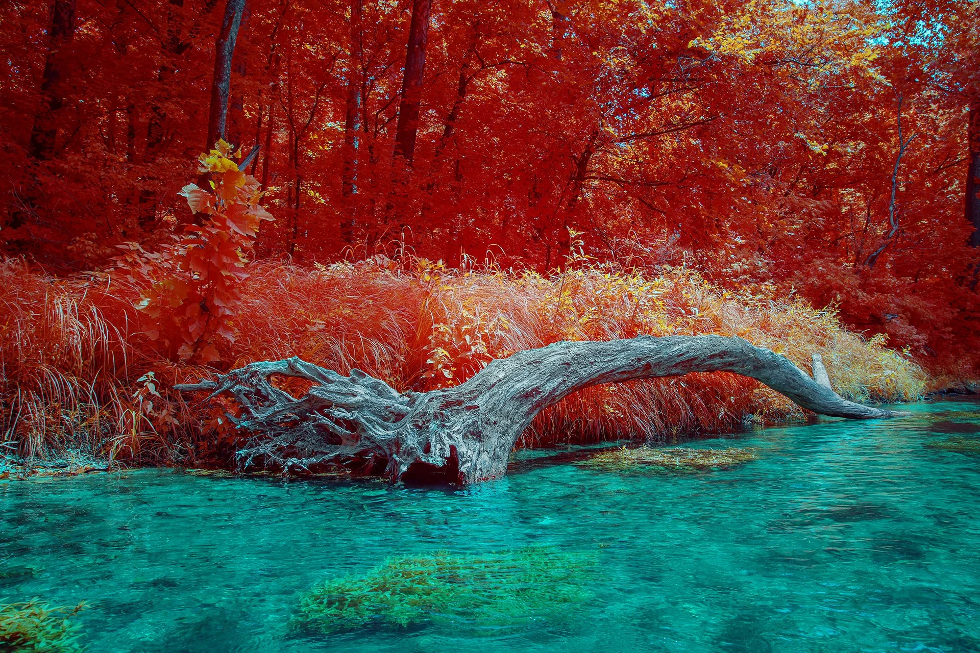 CurentRiver_110723_0726.jpg